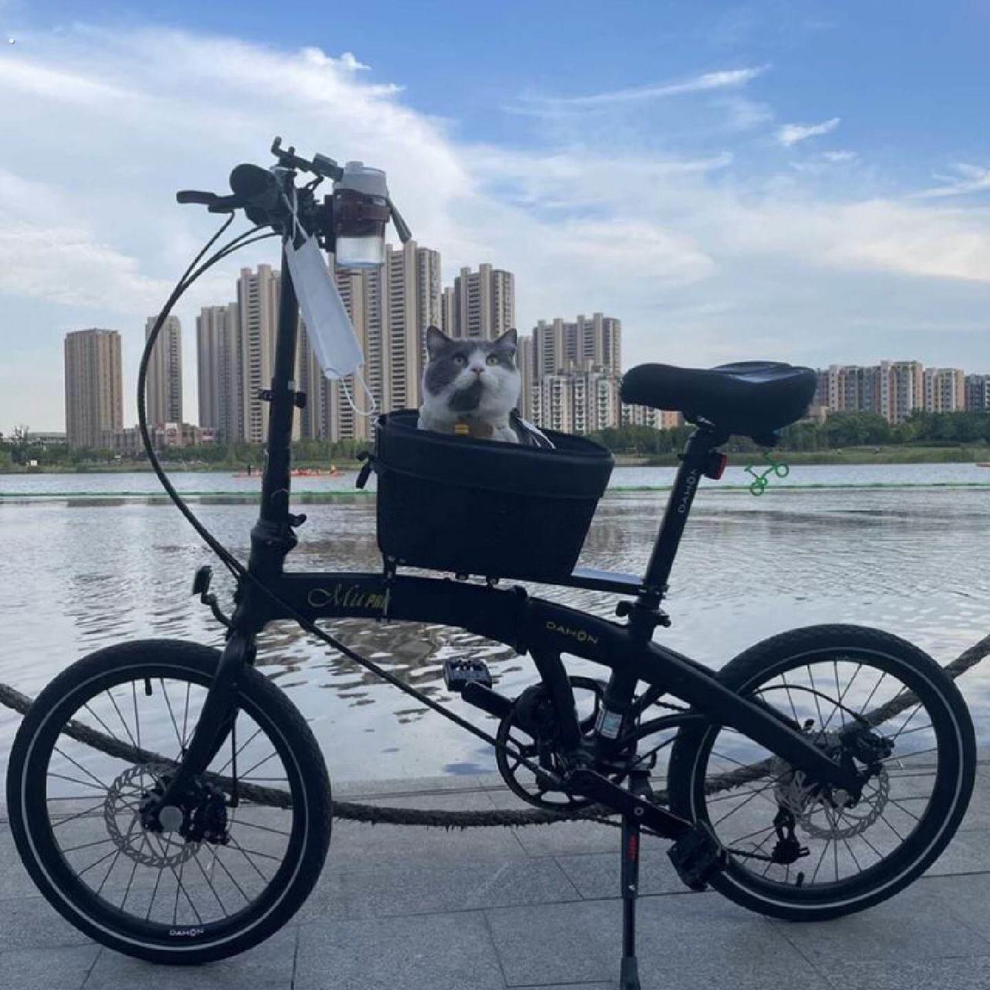 自行车宠物座椅车筐狗狗宠物前筐帆布菜篮子山地车车篓防水快拆叠