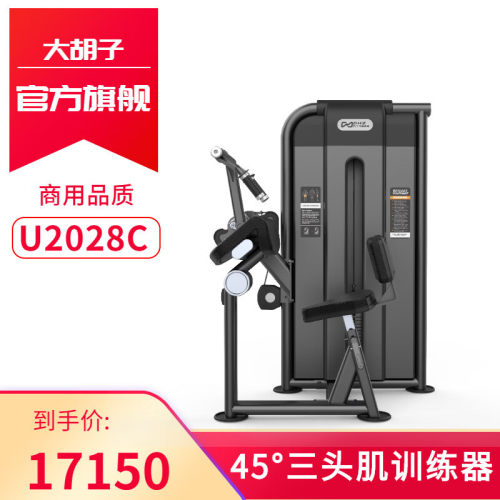 DHZ大胡子运动健身器材U2028C 45°三头肌训练器单位家用商用工作