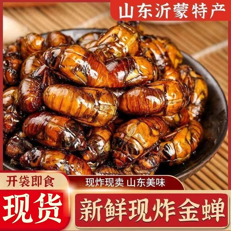 香酥炸金蝉外酥里嫩满口焦香高蛋白下酒解馋一绝越嚼越香营养丰富