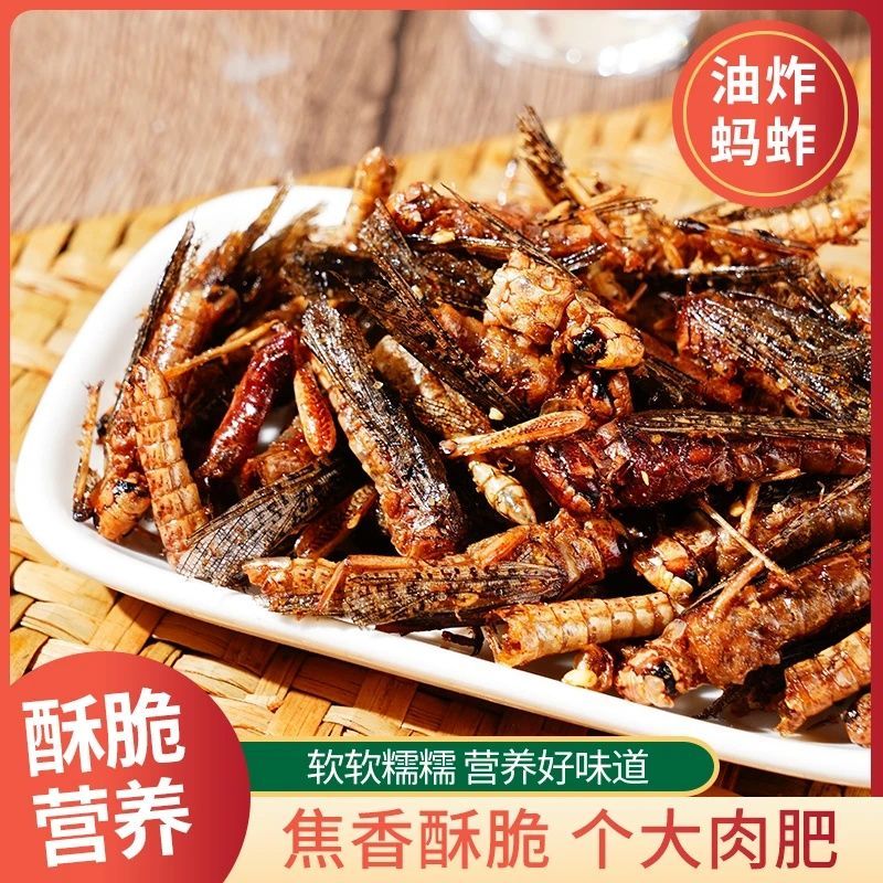 香酥炸蚂蚱夜市美食昆虫小零食