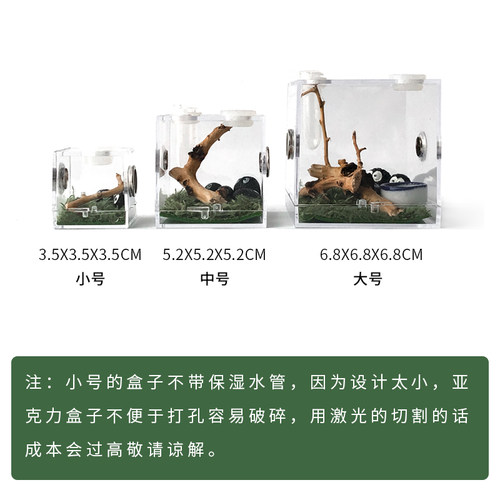 宠物跳蛛蜘蛛甲虫饲养箱爬宠饲养盒亚克力高透 透气 透明盒子造景