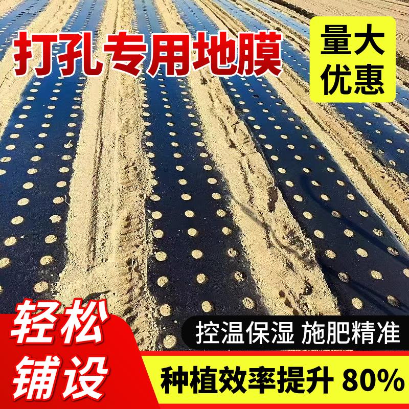 打孔地膜农用种植种菜专用塑料薄膜防草有孔黑地膜辣椒草莓玉米