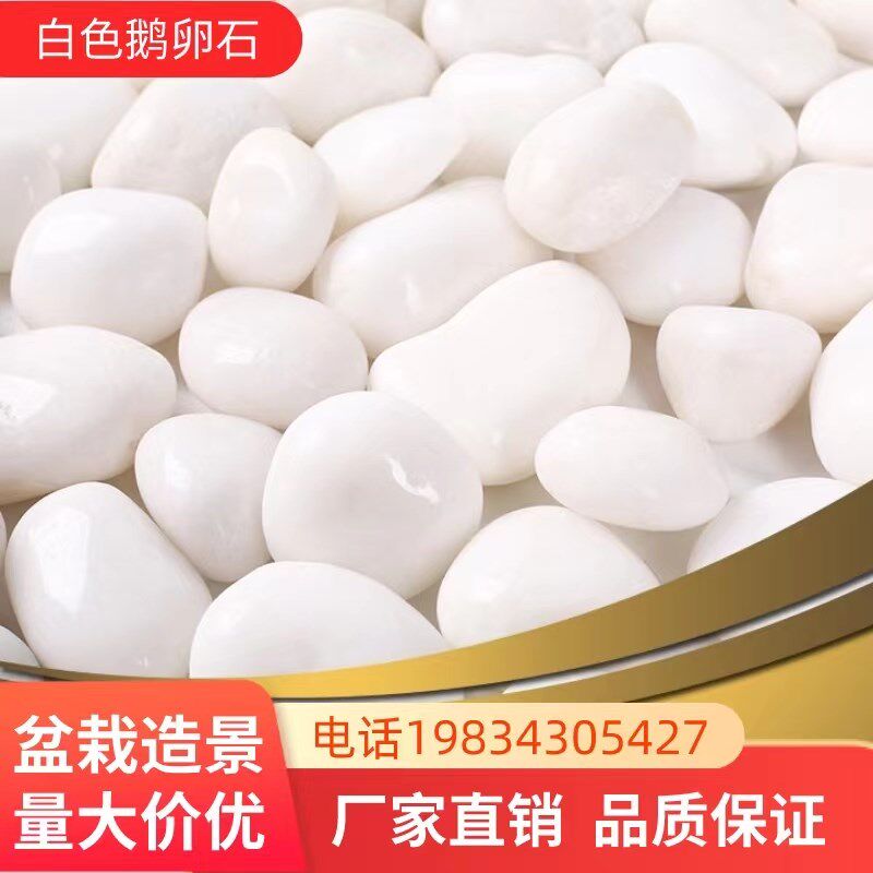 江苏高抛光纯白白色鹅卵石铺地白石子庭院铺路鹅暖软石园艺阳台