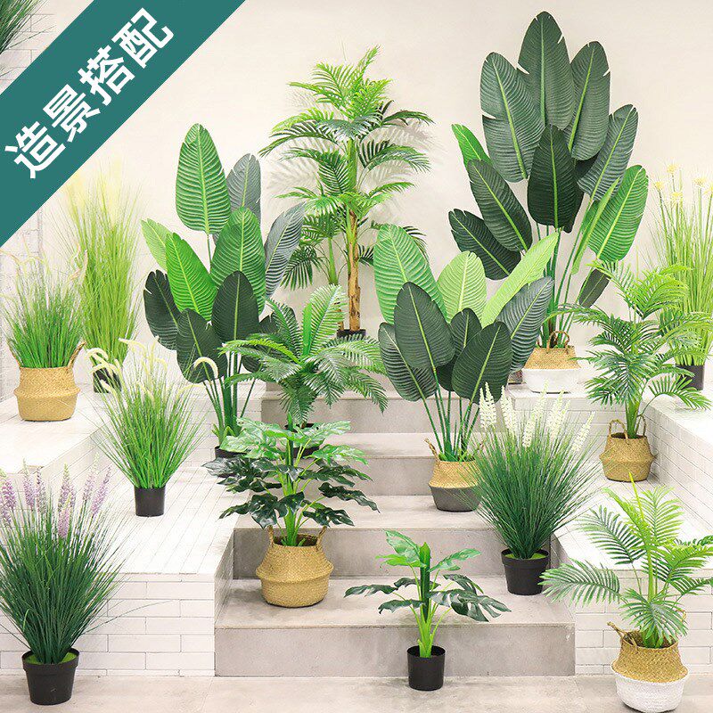 仿真绿植人造景观装饰狗尾巴草芦苇旅人蕉植物花艺盆栽贵妃散尾葵