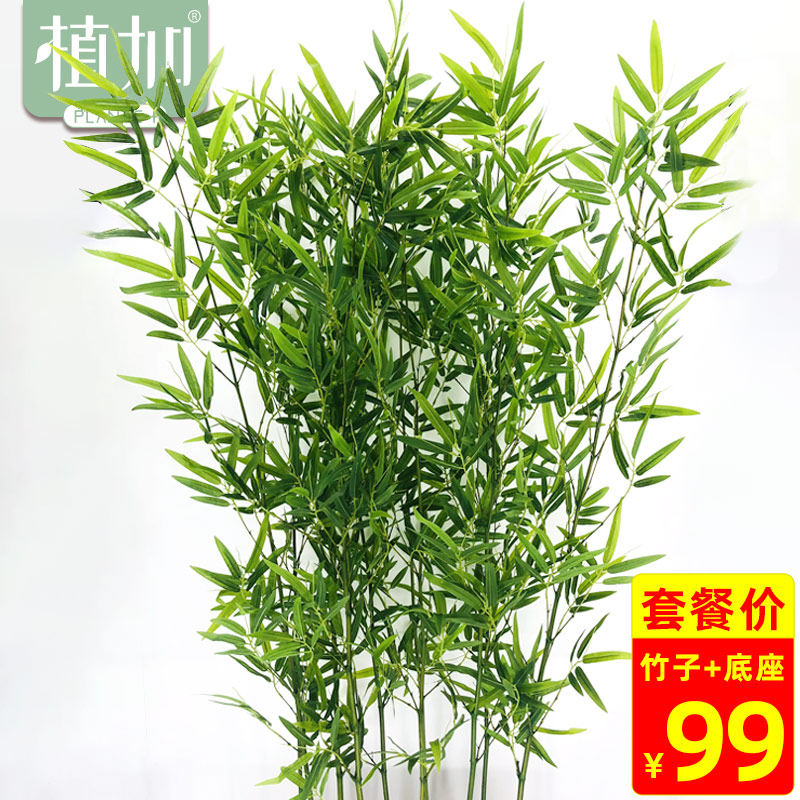 仿真竹子隔断挡墙人造绿假植物底座仿生盆栽背景墙面室内景观装饰