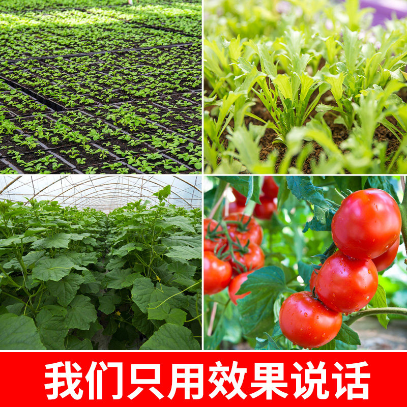 大包育苗基质营养土种菜专用土瓜果蔬菜通用型土壤种植水稻土
