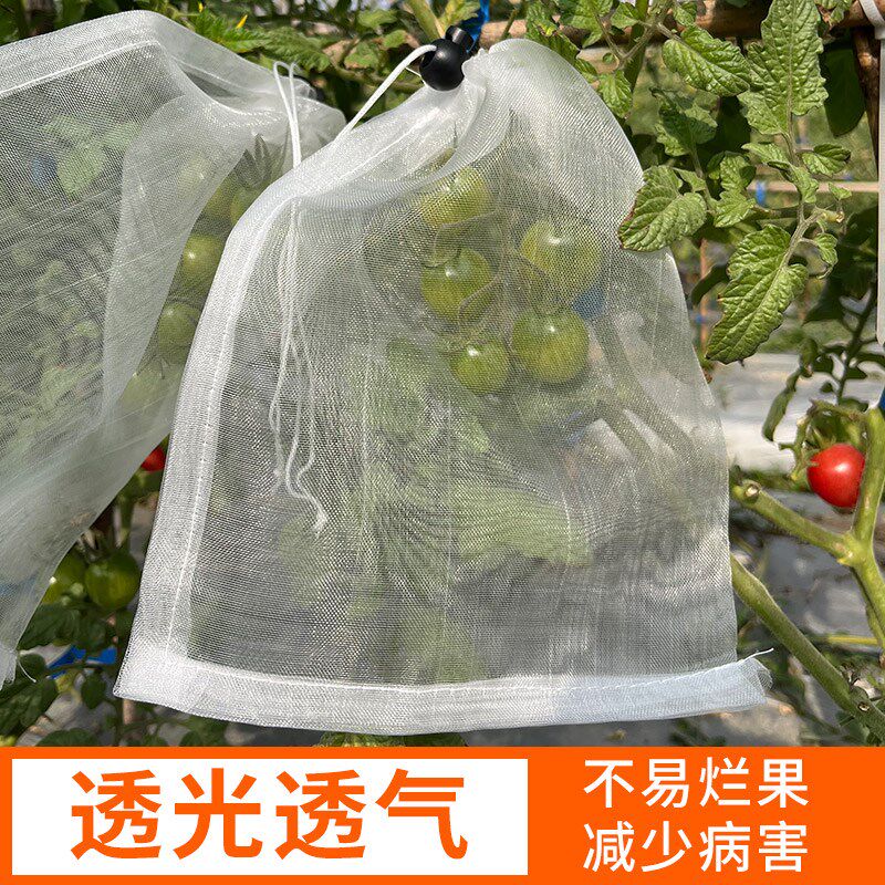 水果专用套袋葡萄套袋桃子番石榴火龙果无花果西红柿网袋防鸟防虫
