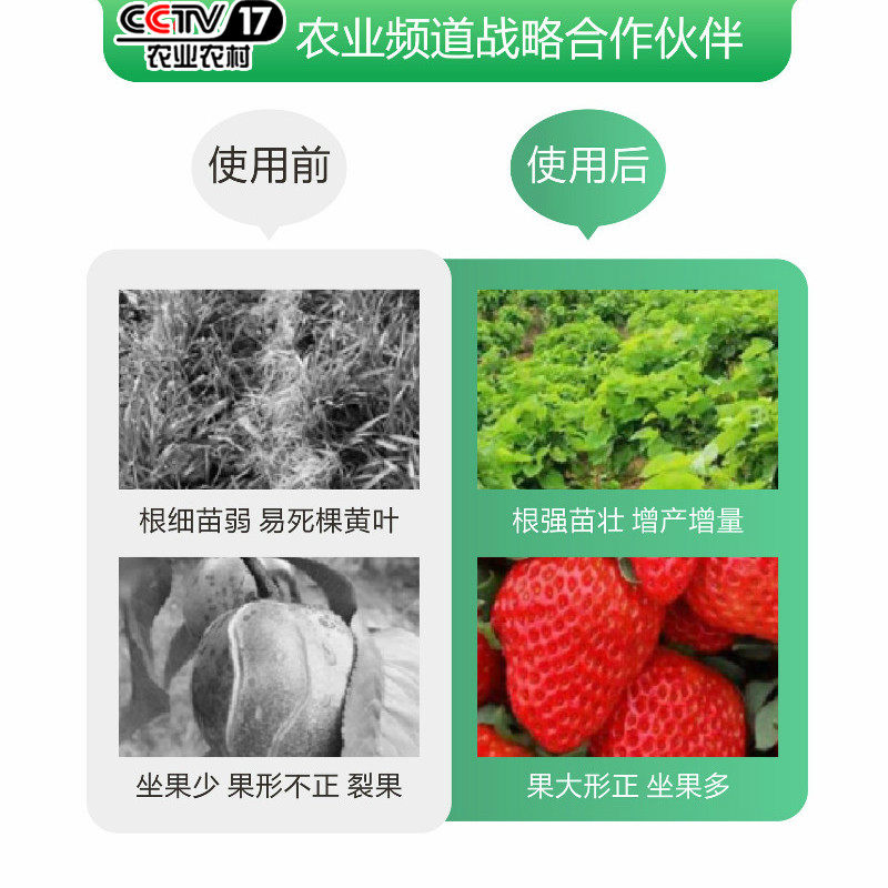 甲壳素海藻精鱼蛋白生根壮苗水溶肥桶装大量元素水溶肥料根多多