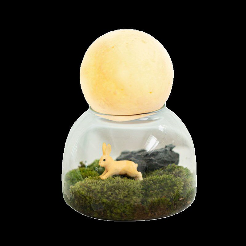 观月许愿瓶微景观草坪盆栽办公室桌面创意迷你摆件绿植中秋节礼物