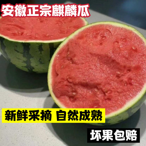 安徽麒麟西瓜现摘爆汁脆甜包熟