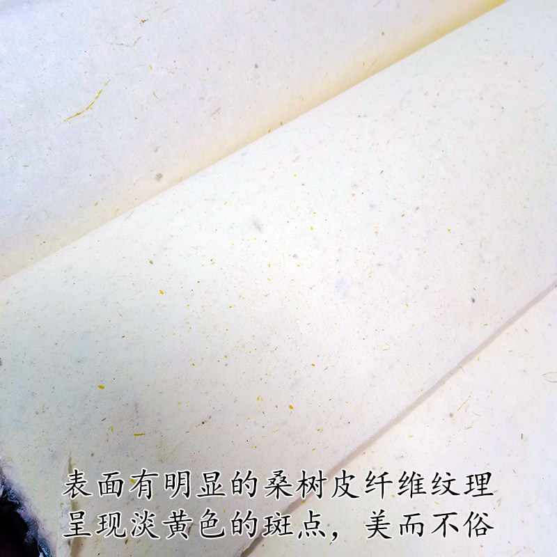特种皮纸古法桑皮纸纯手工桑树土纸半生熟四六尺书法国画专用宣纸