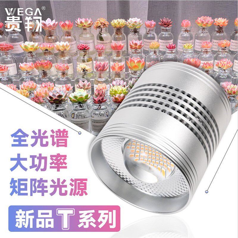 贵翔多肉补光灯家用上色全光谱防徒长LED仿太阳光植物生长风冷灯