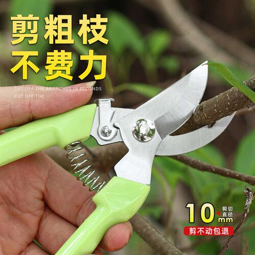 花剪粗枝剪刀省力修枝剪园艺剪修花木果树嫁接园林剪专用园艺剪子
