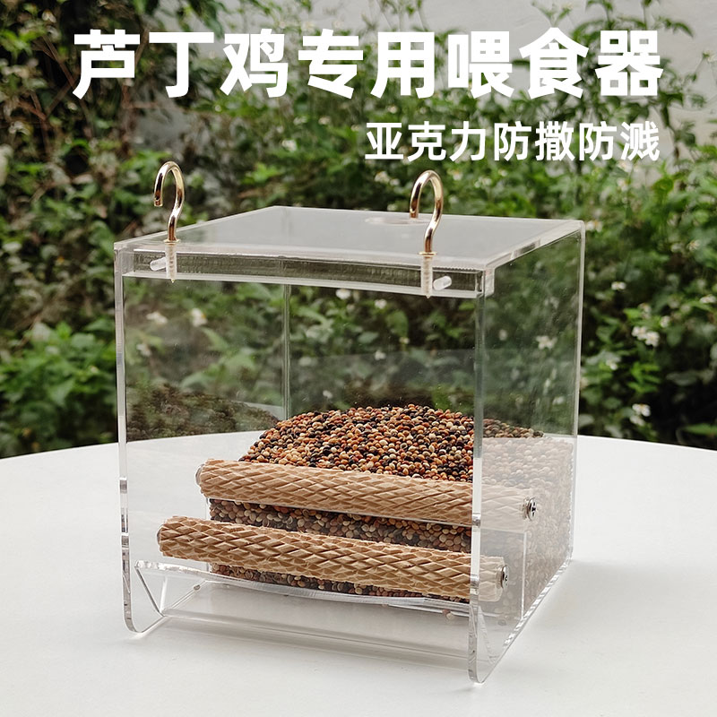 芦丁鸡喂食器自动食槽小鸡饲料盒鸡槽鹦鹉防撒防溅鸟食盒亚克力