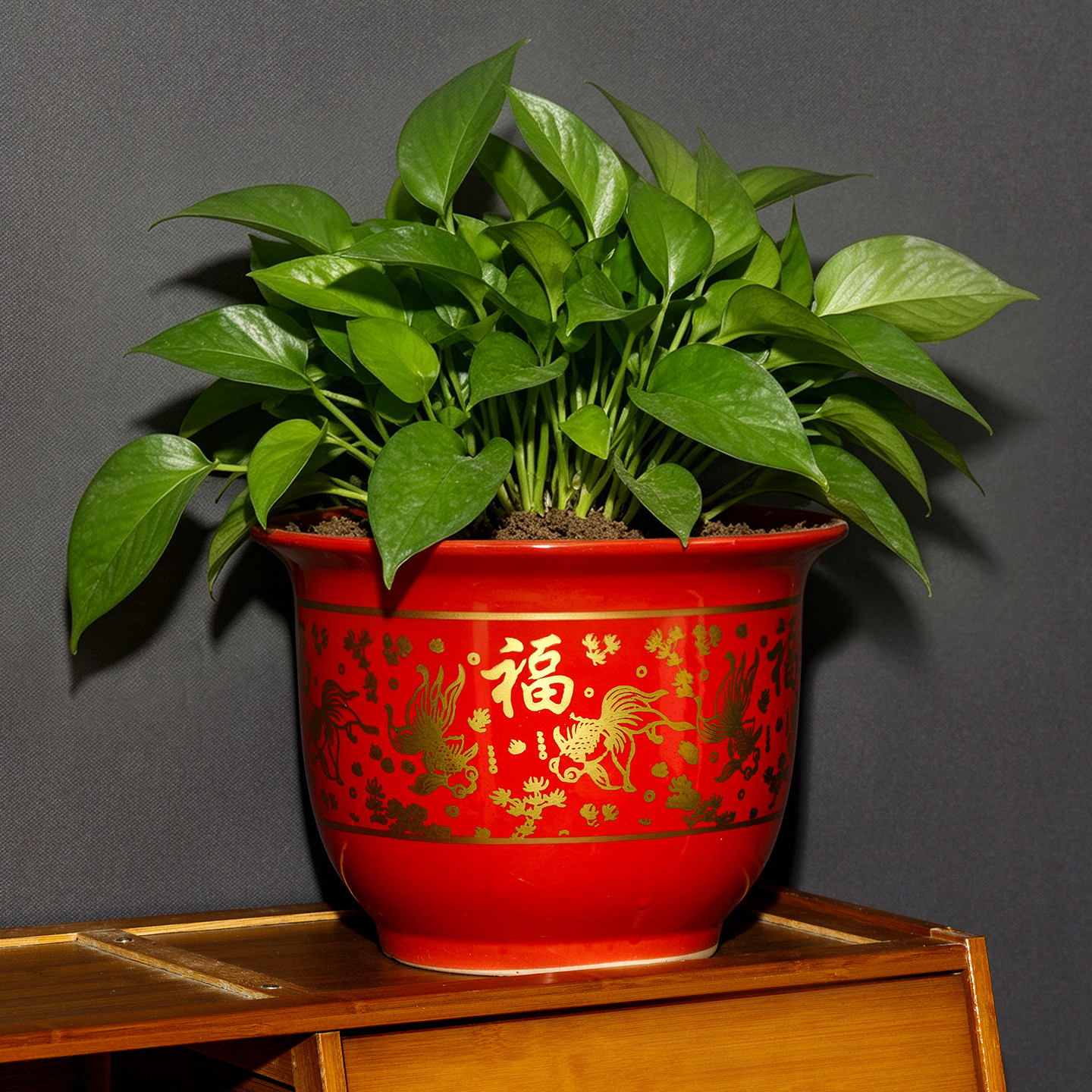 景德镇金鳞送福陶瓷花盆圆口种植盆绿植排水孔落地式红色福字室内