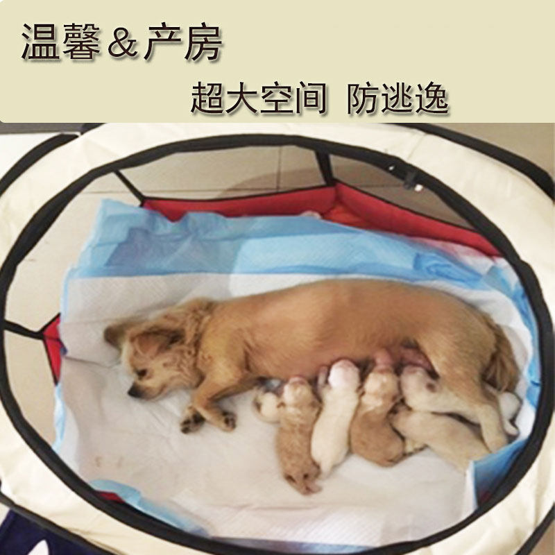 狗狗产房窝冬季繁殖生产窝孕狗大型产箱产床猫咪生育全套接生用品