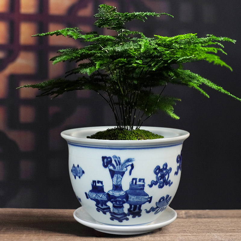 景德镇陶瓷花盆青花瓷康熙绿植中式纯手绘釉下彩菖蒲盆无孔种花