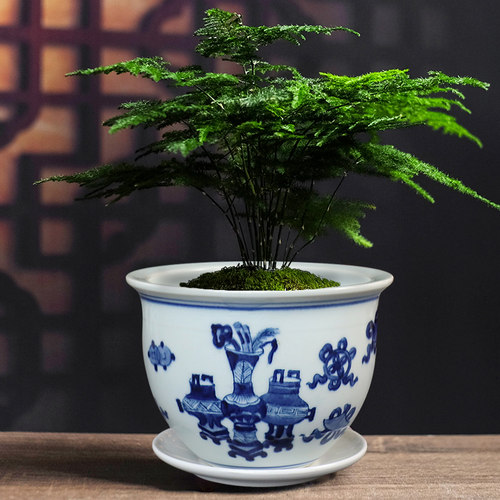 景德镇陶瓷花盆青花瓷康熙绿植中式纯手绘釉下彩菖蒲盆无孔种花