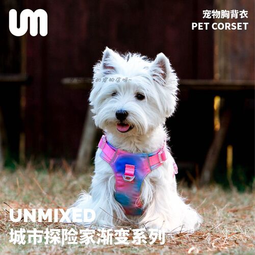 UNMIXED城市探险家渐变防水猫外出泰迪柯基遛狗绳胸背防挣脱轻薄