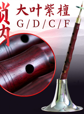 玄鹤唢呐乐器全套初学者专业大叶紫檀演奏用唢呐 小f/D/C/大g 调