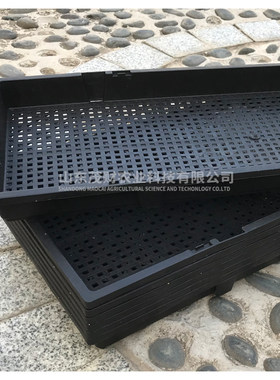 芽苗菜种植盘 加厚育苗盘豌豆苗小麦草育苗托盘58x25x3.5 300克