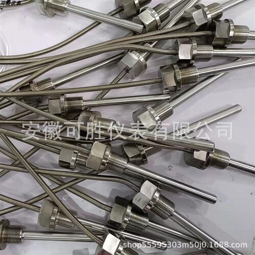电厂专用轴瓦测温PT100热电阻PT1000温度传感器热电偶WZPK230/201