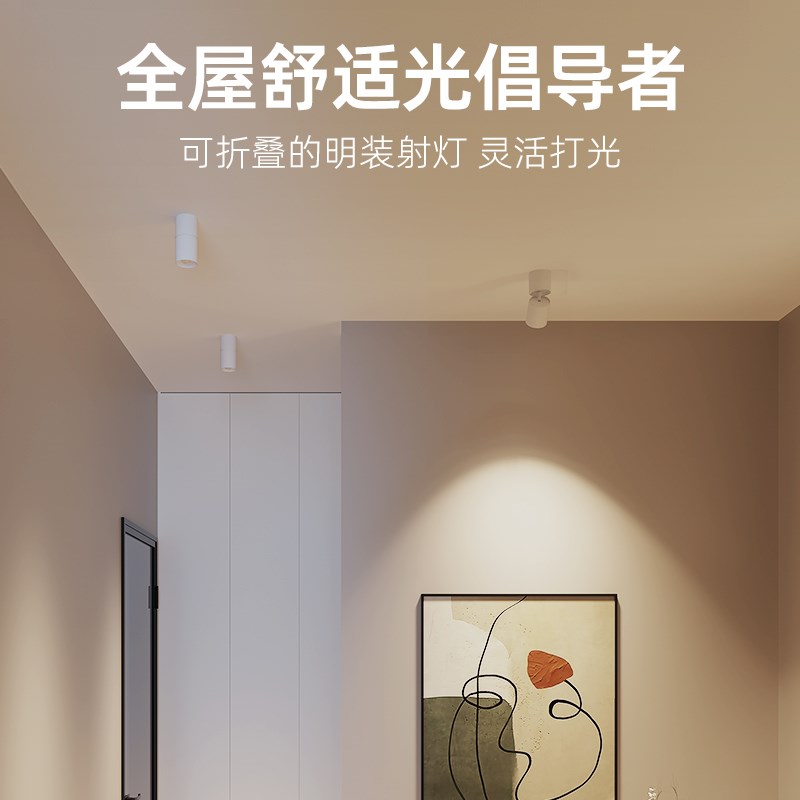 魅光照明 明装日不落射灯可调角度玄关灯日落夕阳照画洗墙氛围灯