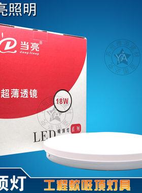 当亮LED吸顶灯 超薄 12W 18W 24W阳台灯 简约毛胚灯 过道灯 工装