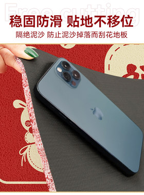 入户门地垫新年2023新款兔年防滑进门垫家用搁脚凳垫子丝圈门口地