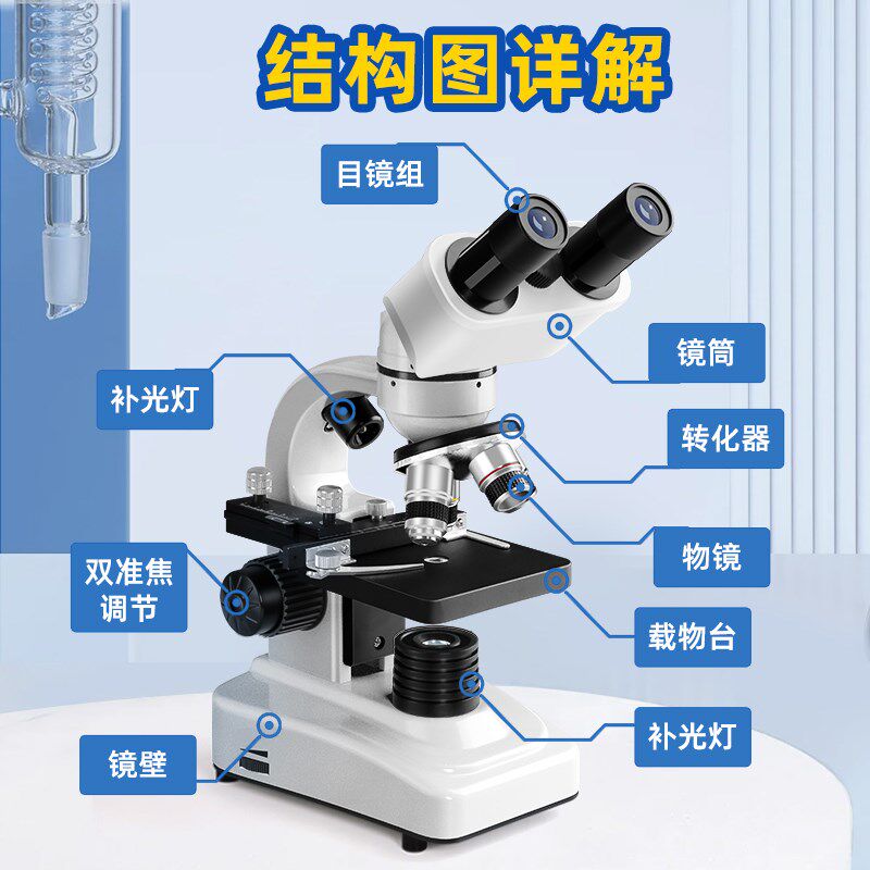 双目显微镜中小学生专用光学显微镜初中生科学实验室专业级手持高图片