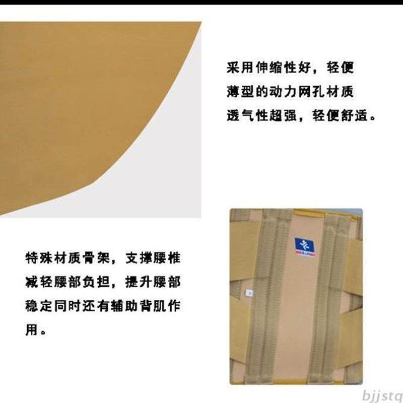 腰围 护腰 DLLB-B04 加高护腰 腰间盘突出 支撑护腰带护腰板钢板