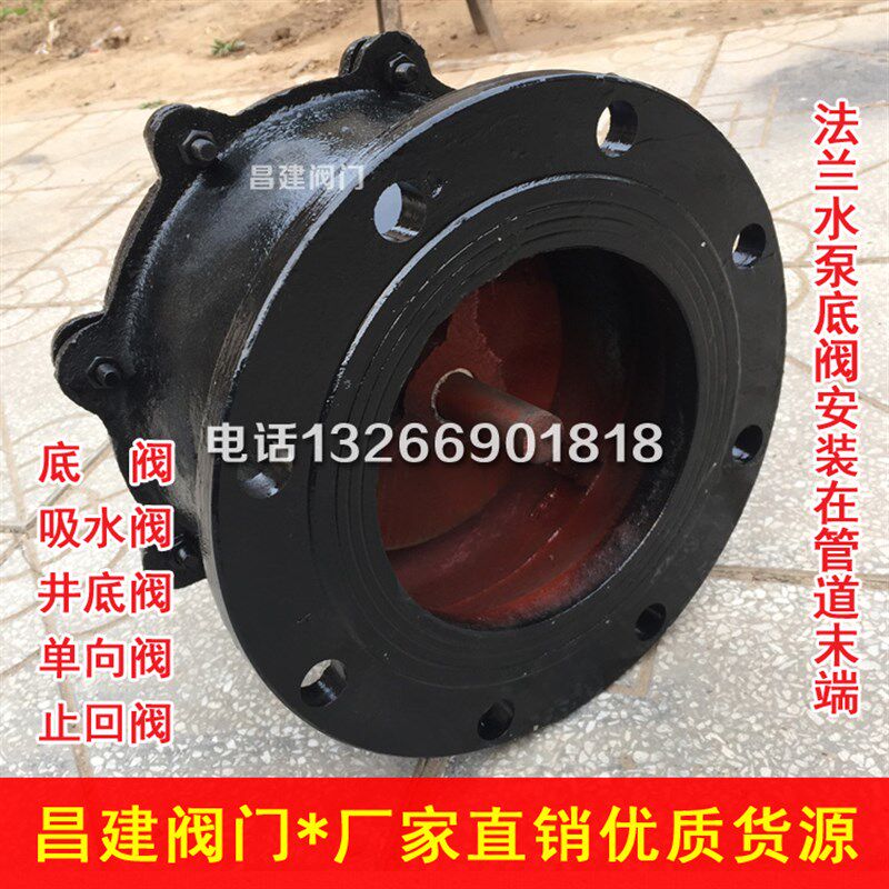 H42X法兰铸铁底阀 水泵单向阀止回阀莲蓬头DN50 80 100 150 200