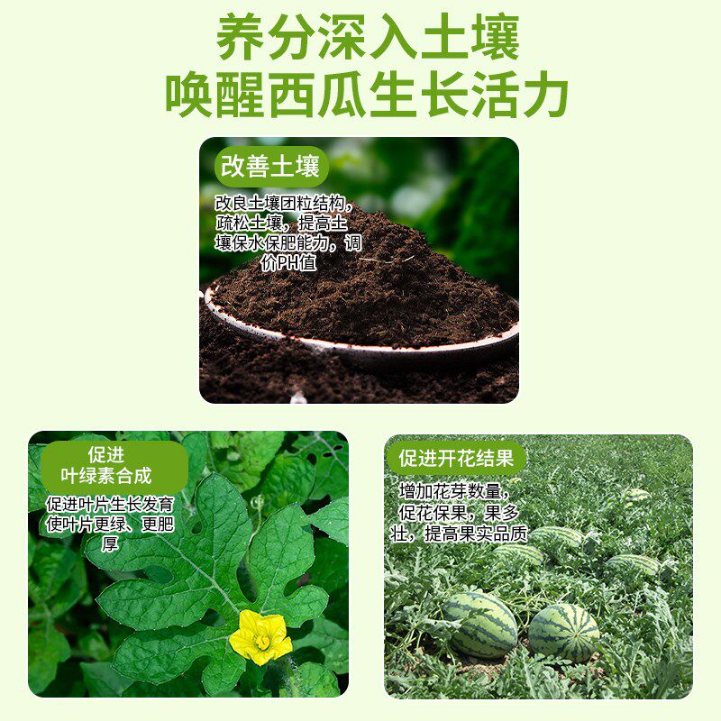 西瓜专用肥料西瓜肥料复合肥生物颗粒缓释肥有机肥料天然增甜膨果