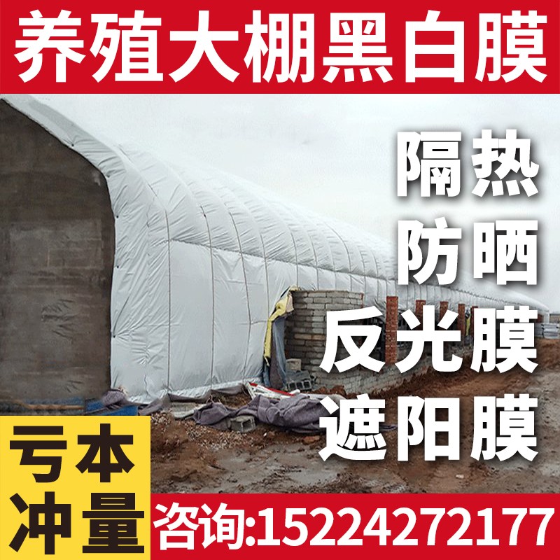 进口黑白膜养殖大棚专用黑白隔热膜防晒加厚反光膜遮阳保温养鸡舍