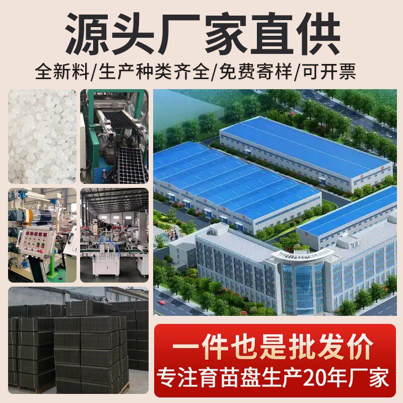育苗盘穴盘育苗盒营养钵蔬菜育苗盆塑料杯育苗器苗木多肉托盘盆