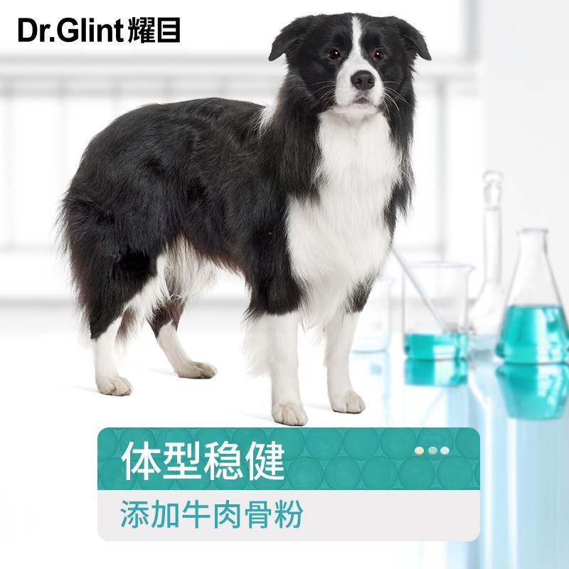 耀目 边牧狗粮幼犬成犬专用边境牧羊犬大型犬粮补钙健骨亮毛20斤