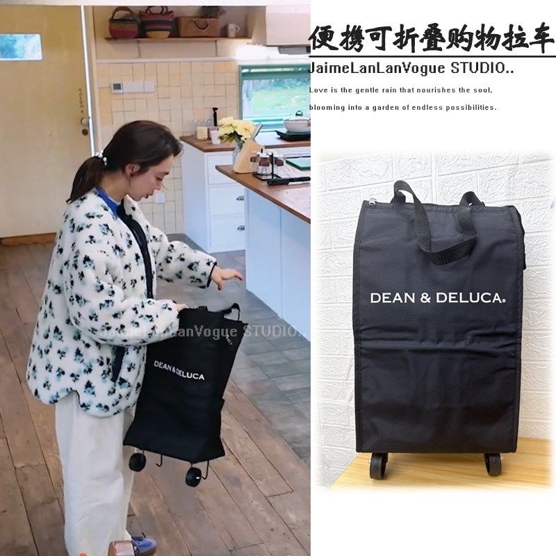 姜姜好姜妍同款购物小拉车可携式买菜D购物袋可摺叠购物车取快递