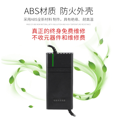 电动车充电器电瓶车充电机汽车电池智能定时充电器48V60V72V20A