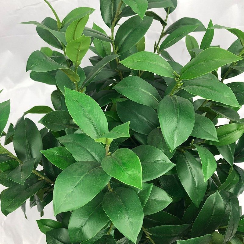 仿真植物油茶树绿植毛尖茶乔木盆栽园林工程造景装饰摆设厂家直售