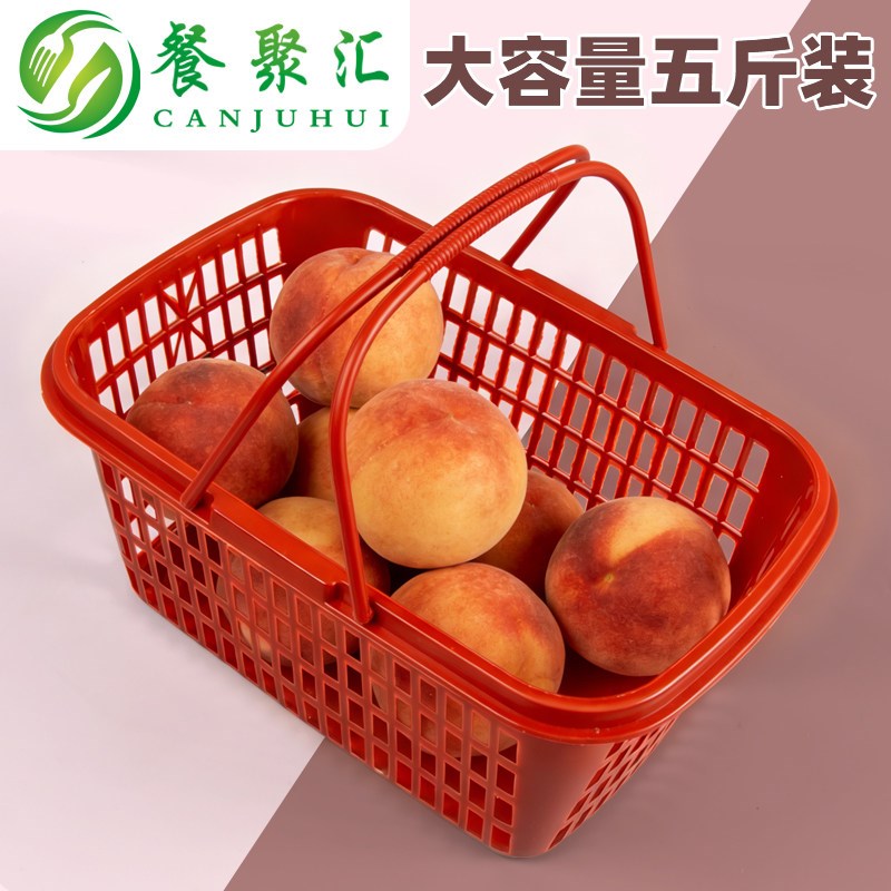 厂家5斤五草莓篮子手提塑料樱桃方形水果筐杨梅采摘篮包邮