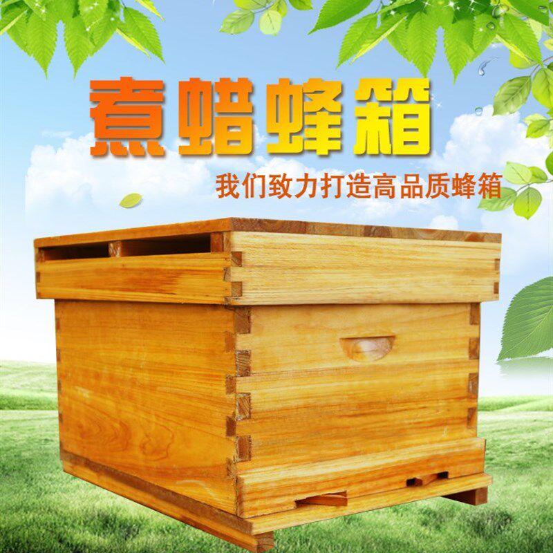 蜜蜂蜂箱全套养蜂工具专用养蜂箱包邮煮蜡杉木中蜂标准十框蜂巢箱