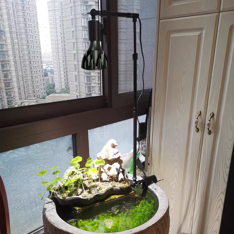 植物补光灯仿太阳全光谱热植块根绿植室内台夹伸缩夹子LED生长灯