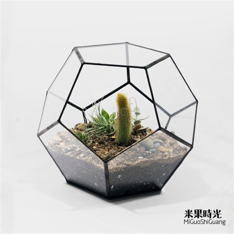 永生花多肉植物玻璃花房微景观球形花器创意花盆咖啡厅摆件装饰品