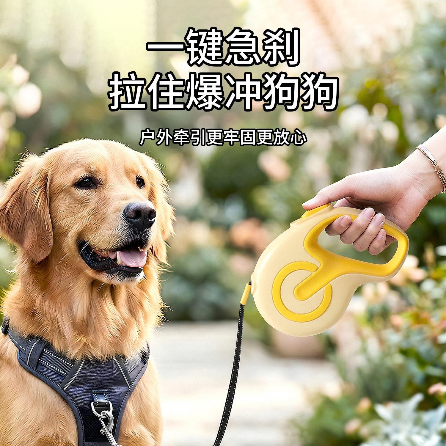 新款宠物牵引器狗狗牵引绳遛狗绳舒适耐磨耐咬自动伸缩宠物用品