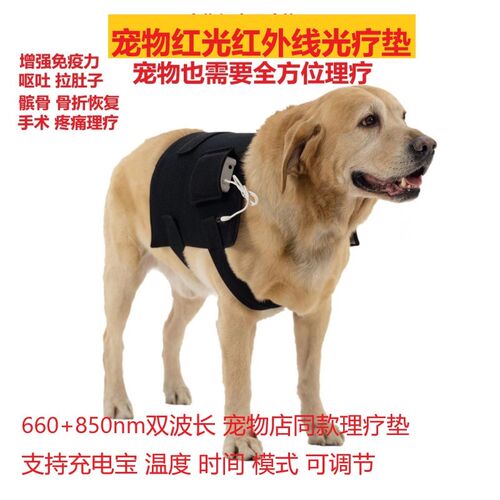 (首单直降)宠物红光红外线理疗垫猫狗髌骨关节肌肉腰椎骨折恢复