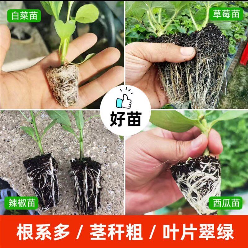 育苗基质营养土种菜土壤蔬菜种土水稻育秧专用扦插50升一袋装