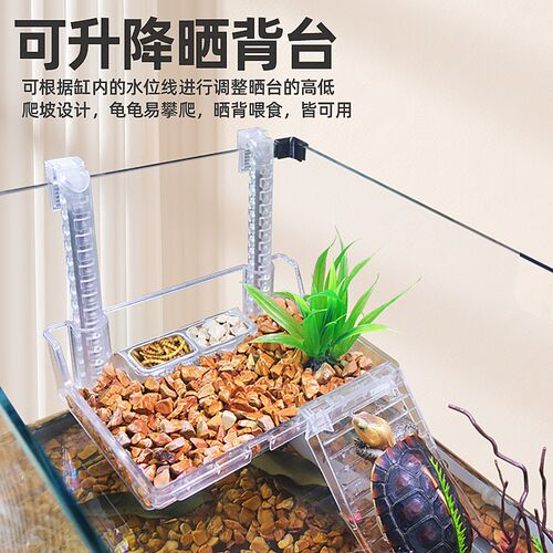 乌龟饲养生态龟缸金鱼龟鱼混养两用鱼缸客厅造景小型周转箱两栖缸