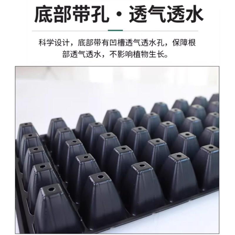 育苗盘托盘加厚穴盘西瓜玉米辣椒番茄蔬菜幼苗培育杯扦插塑料盆