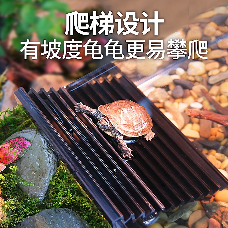 超白玻璃乌龟饲养缸晒台造景家用饲养缸生态鱼缸大小型鱼龟混养缸