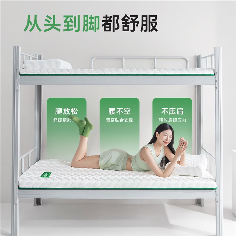 学生宿舍床垫单人地垫租房专用榻榻米床垫薄垫褥子家用可折叠软垫
